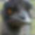 Profilbild von David Maria Schmid