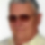 Profilbild von Dr. Manfred Buhle