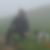 Profilbild von Rainer Dimke