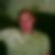 Profilbild von Robert Schmidt