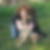 Profilbild von Carmen Kirchner
