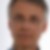 Profilbild von Armin Wildner