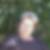 Profilbild von Annette Gerdes