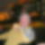 Profilbild von Max Bothe
