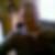 Profilbild von Dietmar Rose