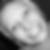 Profilbild von Julia Plattes