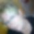 Profilbild von Degen Cornelia