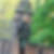 Profilbild von Angela Ries