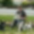 Profilbild von Ulf Ulrich