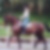 Profilbild von Christine Fiege