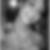 Profilbild von Tina Wegener