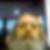 Profilbild von Manfred Schiller