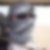 Profilbild von Ralf Grazia