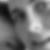 Profilbild von Nadine Petry