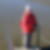 Profilbild von Steffi Harmsen