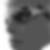 Profilbild von Jan Weckerle