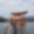 Profilbild von Holger Michael