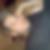 Profilbild von David Stenger