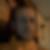 Profilbild von Matthias Malz