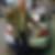 Profilbild von Dirk Seyring