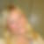 Profilbild von Evelin Gerhardtz