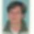 Profilbild von Ingrid Handschak