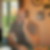 Profilbild von Benno Puscher