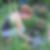Profilbild von Sabine Spiewack