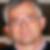 Profilbild von Peter Katzer