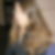 Profilbild von Doris Janssen