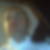 Profilbild von Daniel Wilk