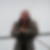 Profilbild von Andreas Preis