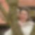 Profilbild von Barbara Rösler