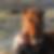 Profilbild von Birgit Weyler