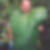 Profilbild von Stefan Haider