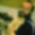 Profilbild von Martin Paschke