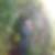 Profilbild von Anja Bluhm