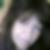 Profilbild von Birgit Meinert