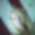 Profilbild von Sabine Philipps
