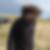 Profilbild von Ulf Antoni