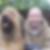 Profilbild von Christian Stumpf