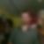 Profilbild von Kai Schmidt