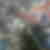 Profilbild von Sylke Newnham