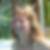 Profilbild von Andrea Boxberg