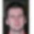 Profilbild von Till Petersen