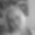 Profilbild von Sandra Filling