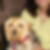 Profilbild von Andrea Wolf