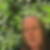 Profilbild von Anne Klinger