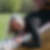 Profilbild von Nicole Pach