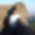 Profilbild von Andreas Naeve